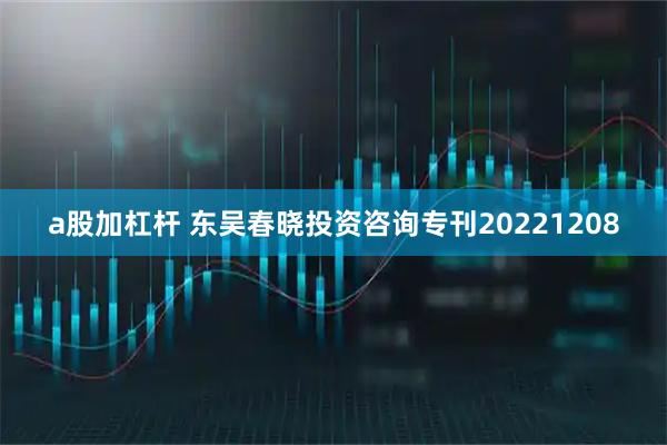 a股加杠杆 东吴春晓投资咨询专刊20221208