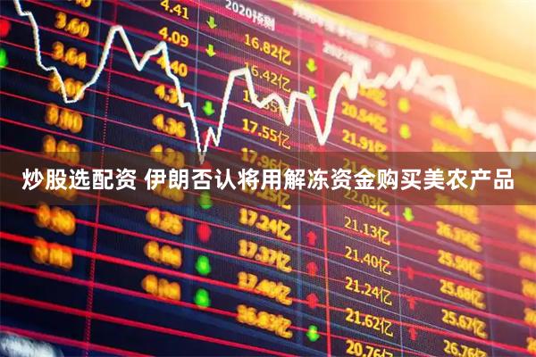炒股选配资 伊朗否认将用解冻资金购买美农产品