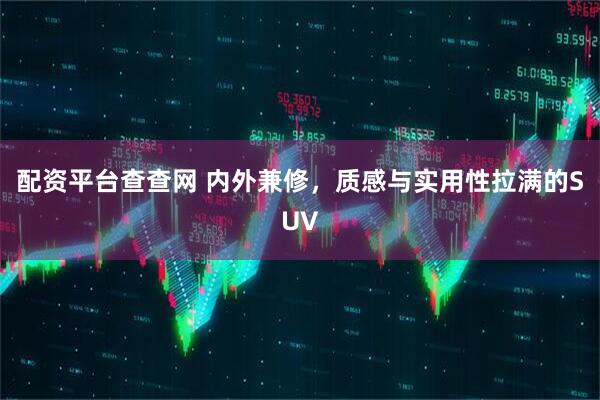 配资平台查查网 内外兼修，质感与实用性拉满的SUV